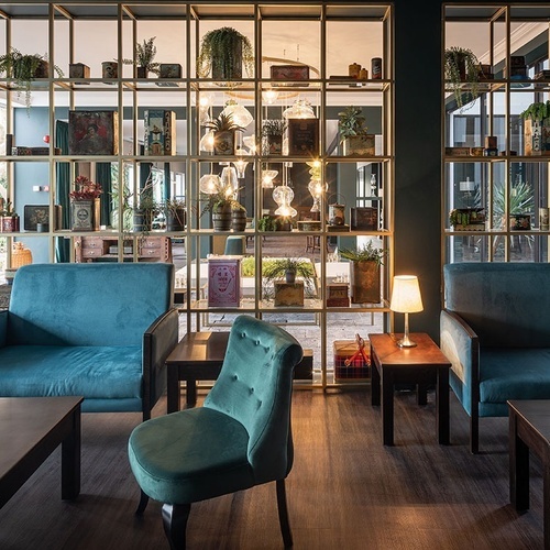 a room with chairs and tables and a shelf with plants on it