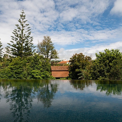 a swimming pool surrounded by trees and a house