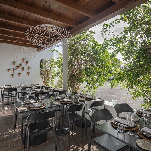 a dining area with tables and chairs and a tree in the background