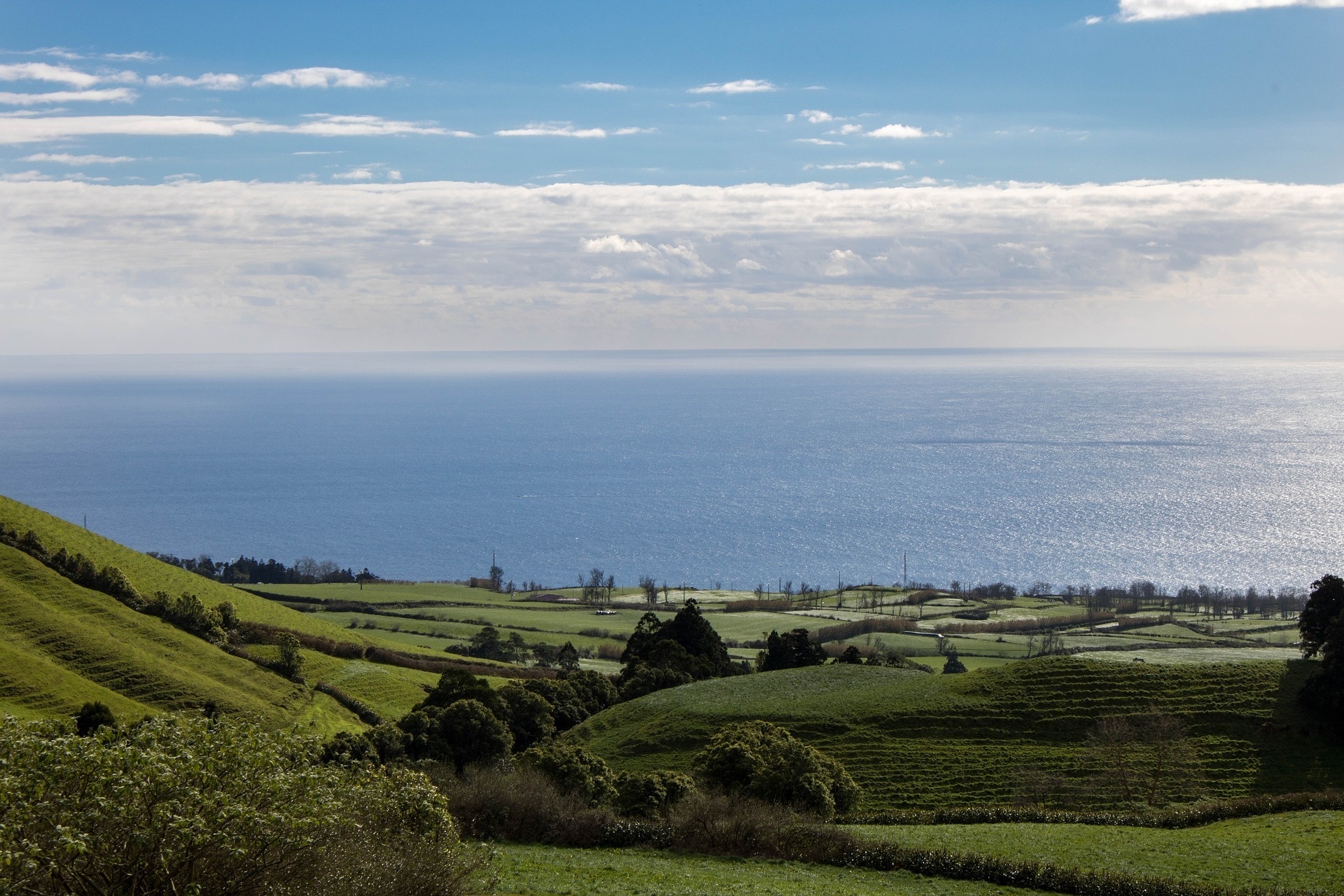 a view of a large body of water from a hillside