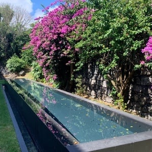 a swimming pool surrounded by purple flowers and a stone wall