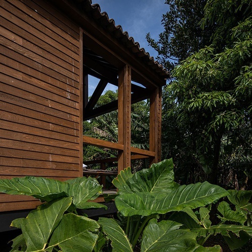 a wooden house is surrounded by trees and plants