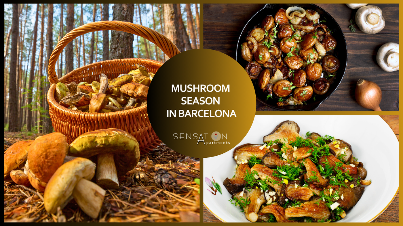 un collage di tre immagini di funghi e la scritta mushroom season in barcelona