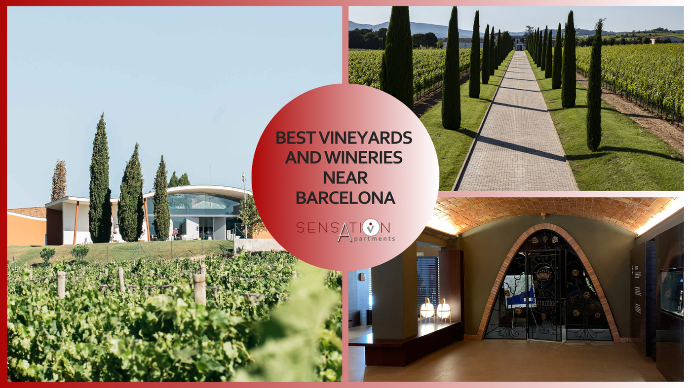 I migliori vigneti e cantine vicino a Barcellona