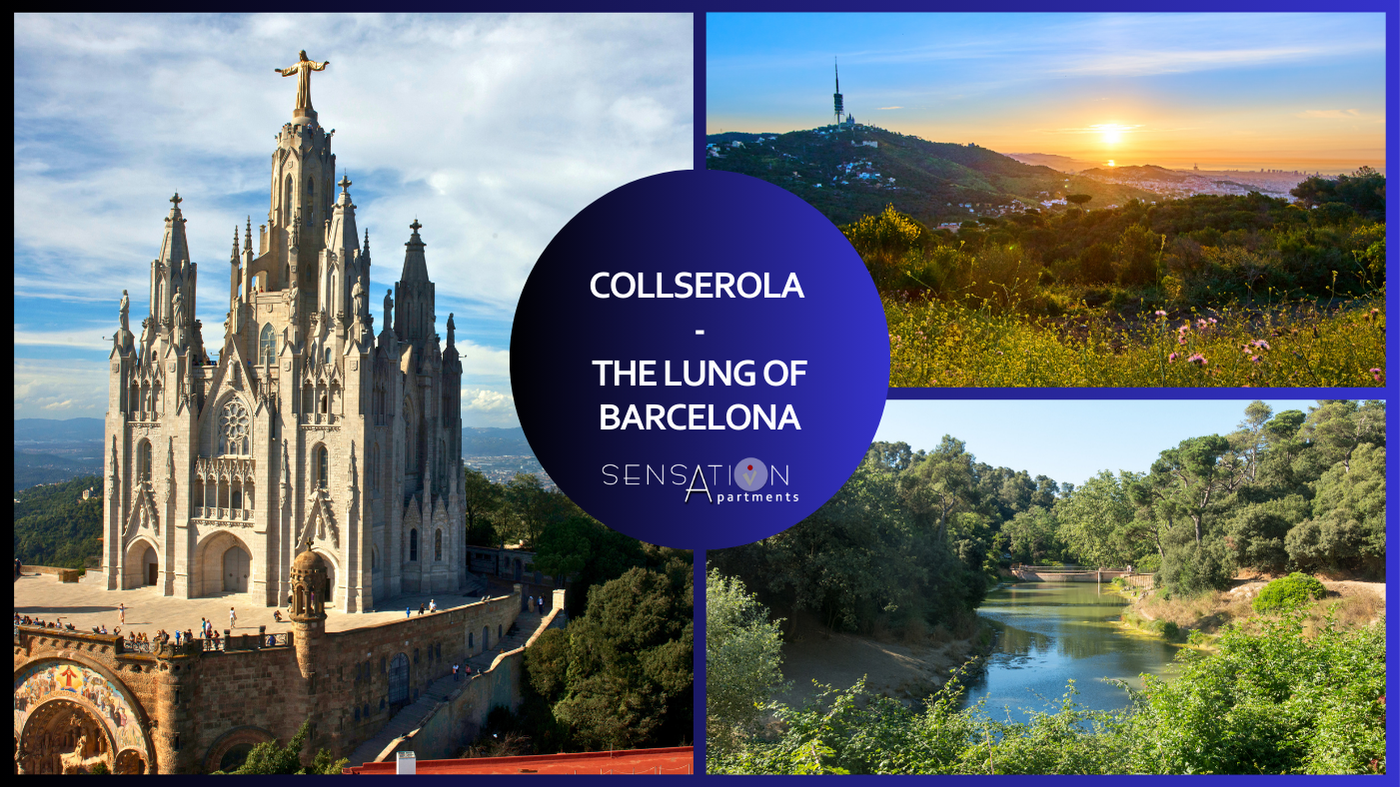 un collage de fotos con la palabra collserola en el medio