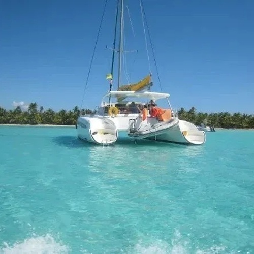 un velero está flotando en el océano frente a una playa tropical .