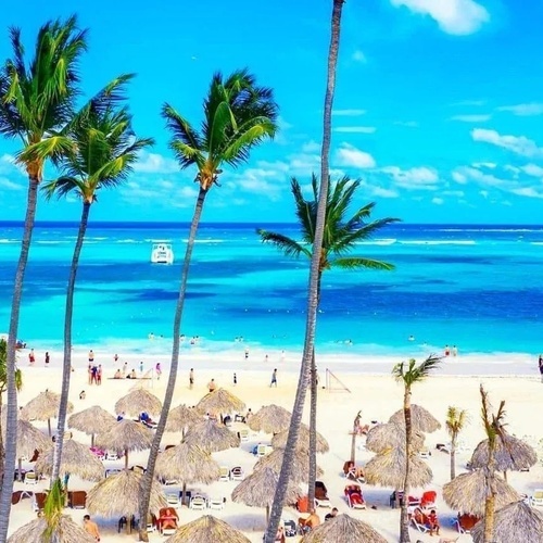 una playa llena de palmeras y sombrillas con barcos en el océano