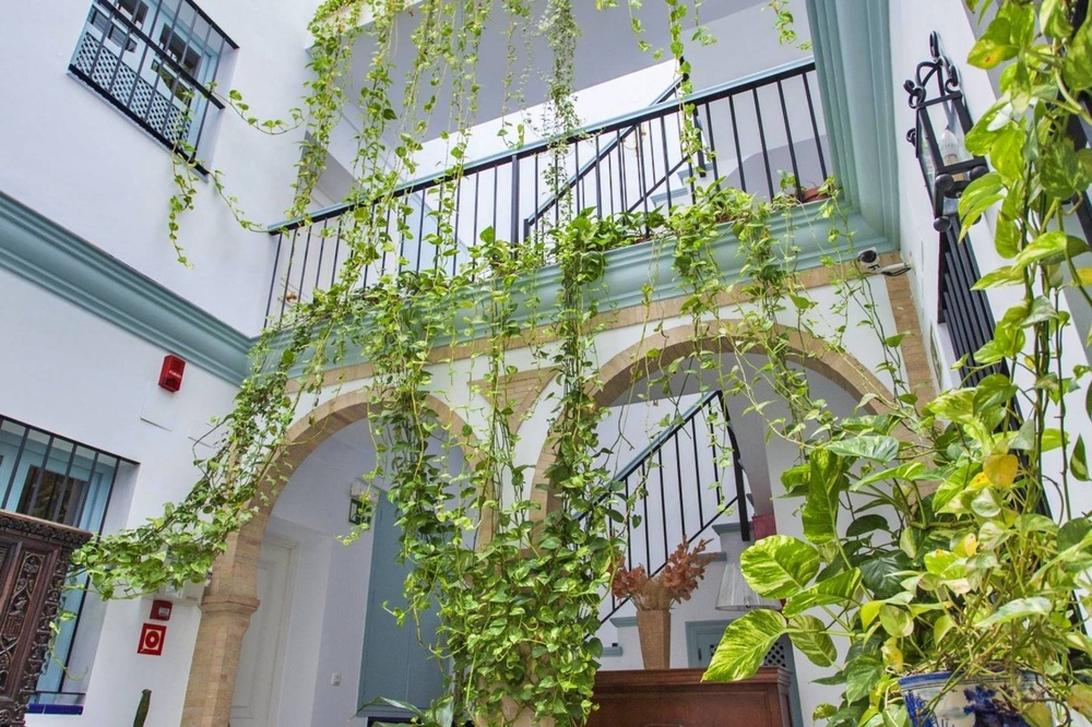 Apartamentos Suites Santa Cruz