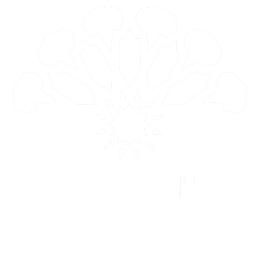 Hotel Boutique Elvira Plaza
