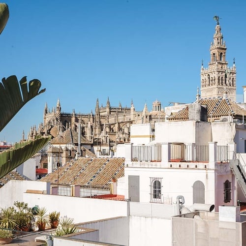 Terraza de hotel con vistas a la Catedral de Sevilla y Giralda.