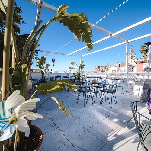 Terraza de azotea de hotel en Sevilla con mesas, plantas y vistas a la Giralda.