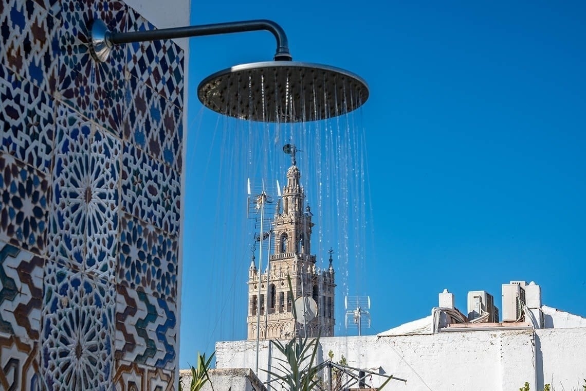un primer plano de una hoja en una rama de un árbol