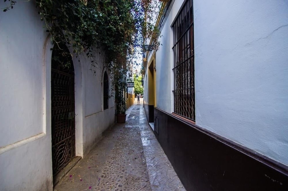 Apartamentos Boutique Vida