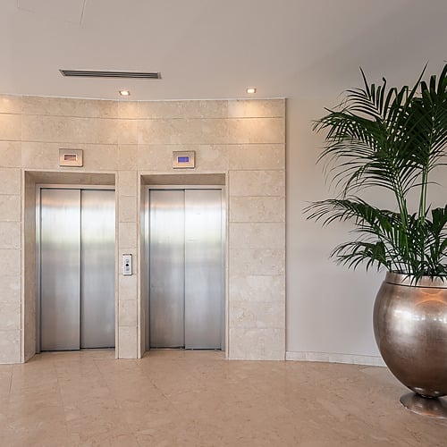 Ascenseurs modernes et plante d'intérieur élégante dans un hall d'hôtel haut de gamme Smy: Corporativa.