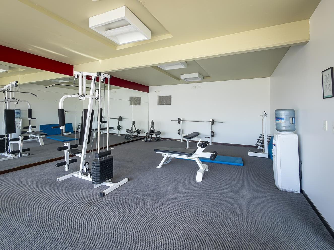 Gimnasio Smy: Corporativa con cintas, bicicletas y pesas.