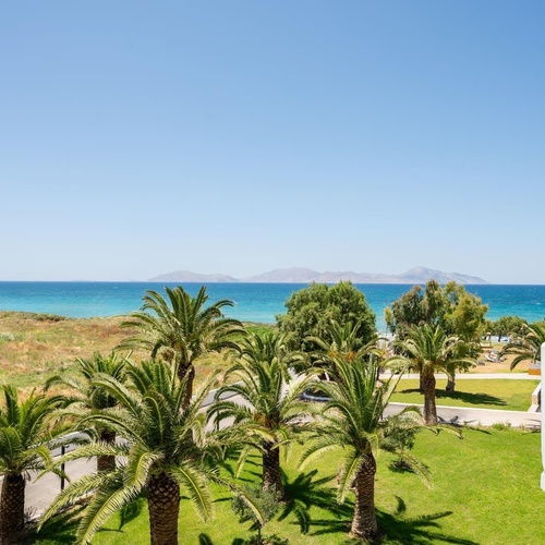 a view of the ocean from a balcony with palm trees in the foreground