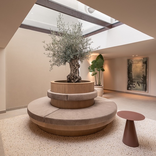 Elegante lobby do hotel Smy: Corporativa, com oliveira central e assentos circulares.