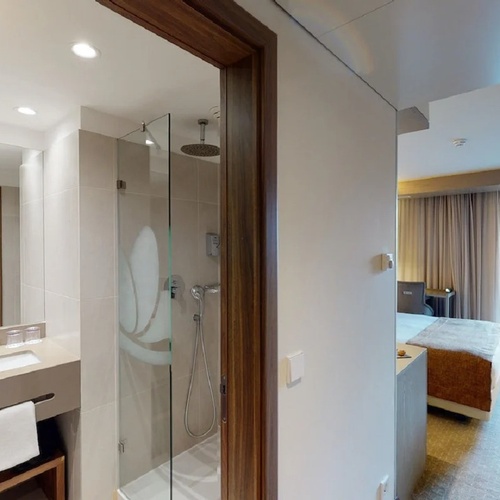 a hotel room with a sink and a walk in shower