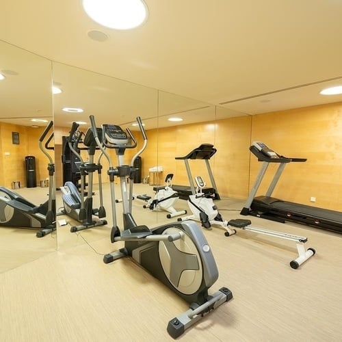 a gym with treadmills and exercise balls
