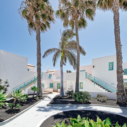 eine Gruppe von weißen Gebäuden mit blauen Fenstern und Palmen