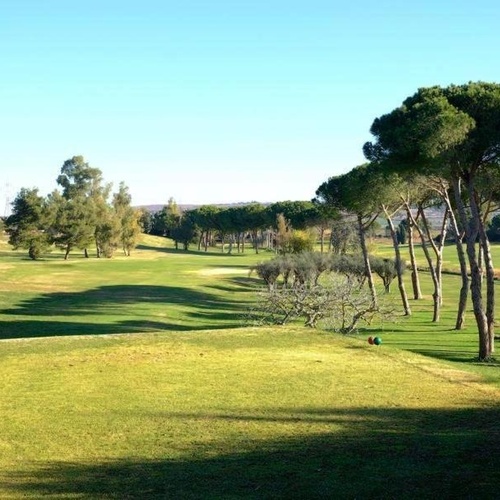 ein Golfplatz mit vielen Bäumen und grünem Gras