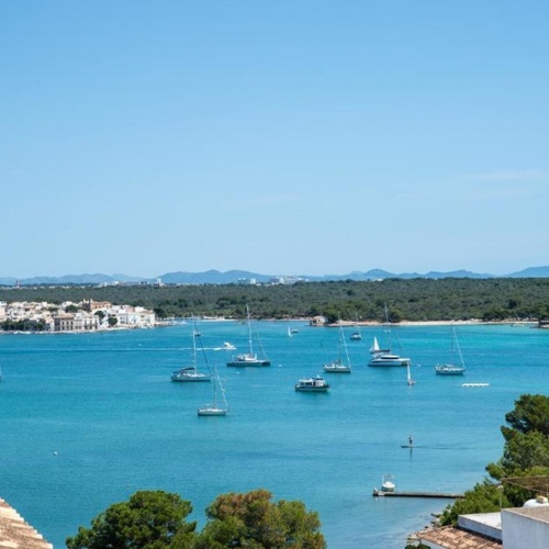 um grupo de barcos está ancorado em um grande corpo de água