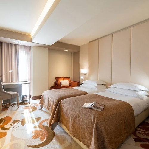 a hotel room with two beds and a rug