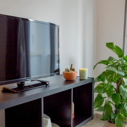 a samsung tv sits on a shelf next to a potted plant