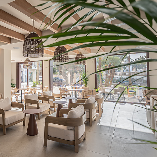 Stylish Smy: Corporativa hotel lobby with central olive tree and circular seating.