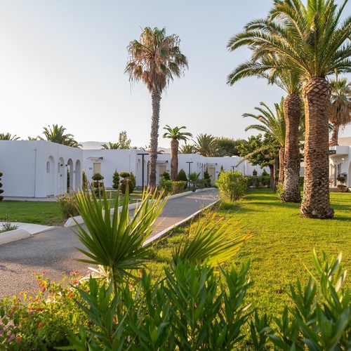 a white building with palm trees in front of it
