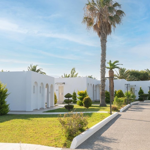 a white building with a palm tree in front of it