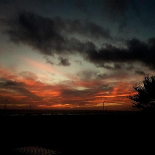 ein Sonnenuntergang mit einer Palme im Vordergrund
