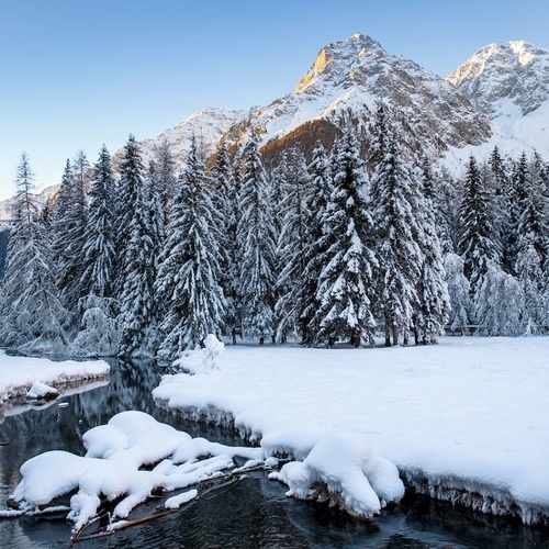 a snowy forest with a river running through it