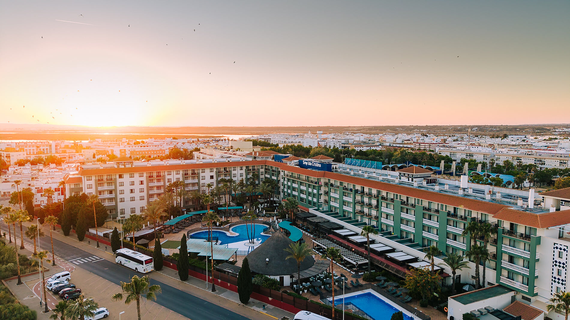 Hotel Smy Isla Cristina 4* | Web Oficial: Piscina y palmeras frente al hotel.