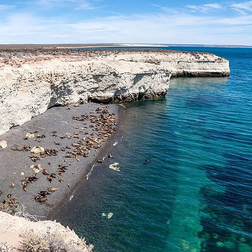 Vista panorámica de la costa con Sede Corporativa Smy: camino, mar y vegetación.