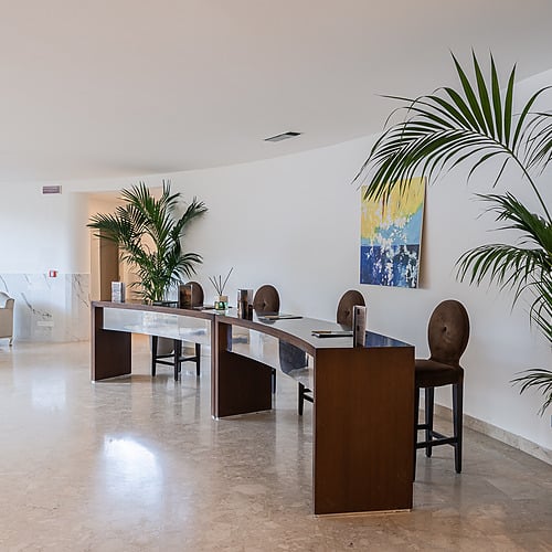 Réception élégante avec plantes, tableau abstrait et sièges confortables pour un accueil chaleureux et professionnel. Idéal pour un séjour 'Smy: Corporativa'.