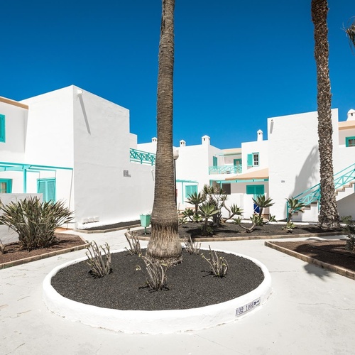 ein weißes Gebäude mit blauen Fenstern und Palmen