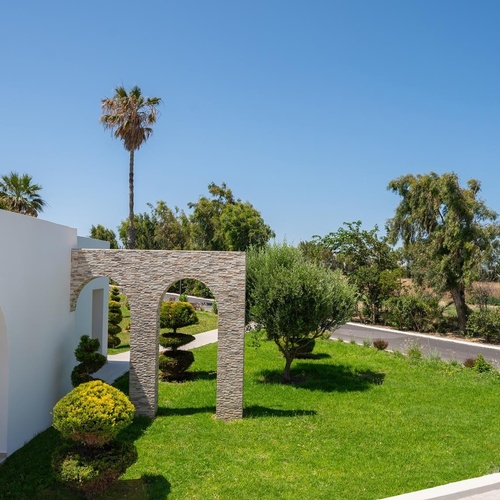 a lush green lawn with a palm tree in the background
