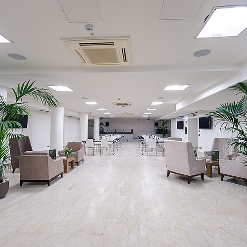 Salon d'attente lumineux avec sièges confortables et plantes vertes, idéal pour Smy: Corporativa.