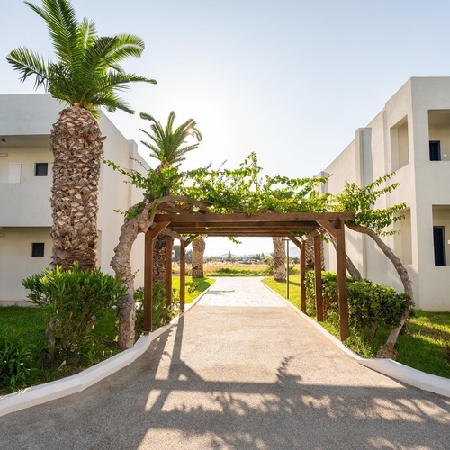 a white building with palm trees in front of it