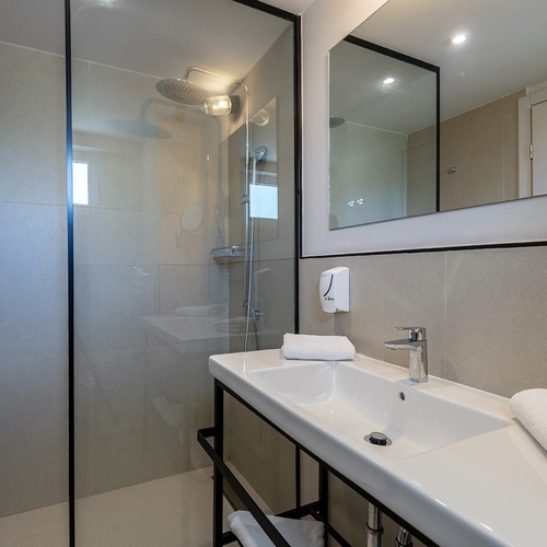 a bathroom with a sink a mirror and a shower