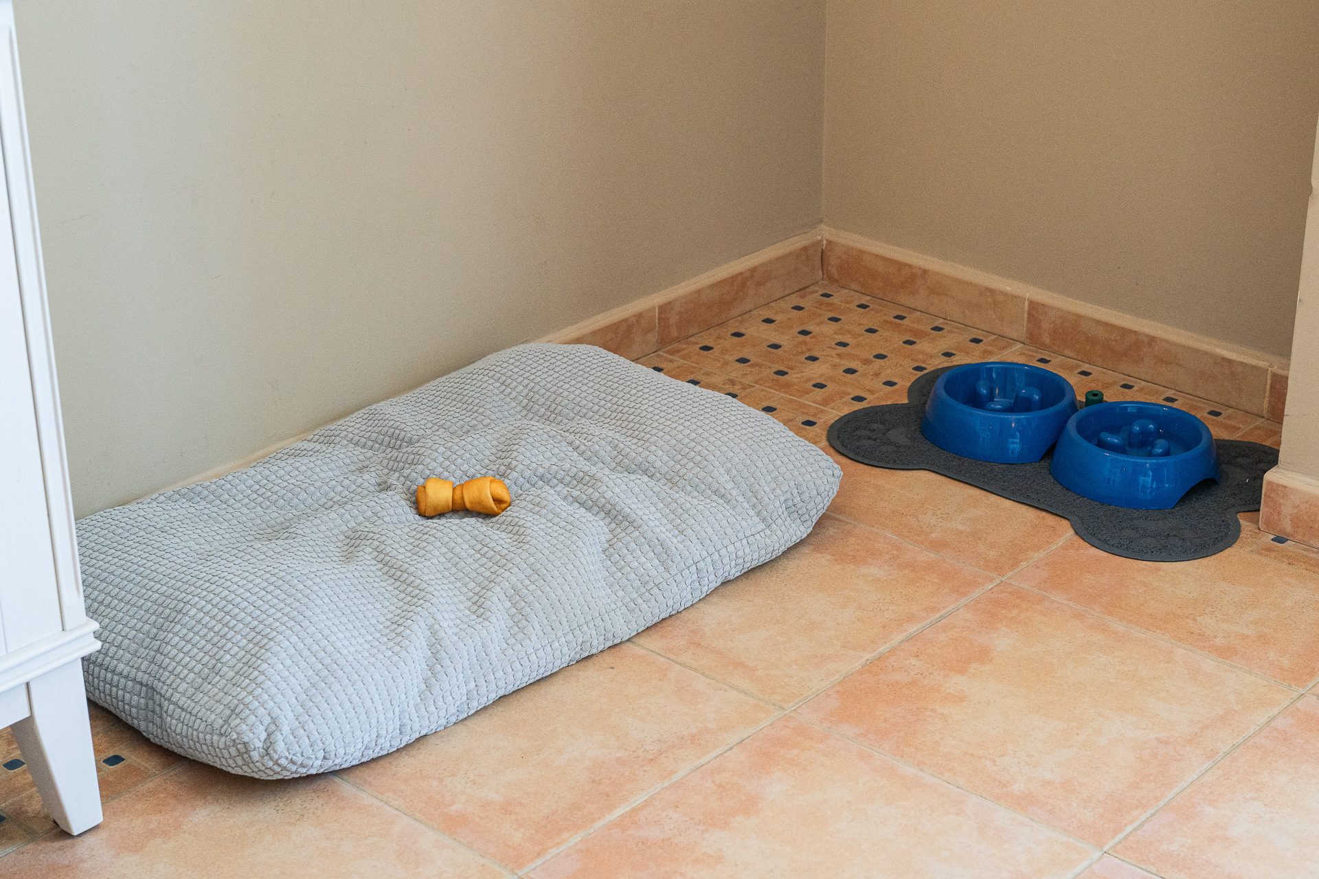 Dos tazones azules para perros en una alfombrilla con forma de pata, junto a un Smy: Corporativa de premios y un rollo de bolsas.