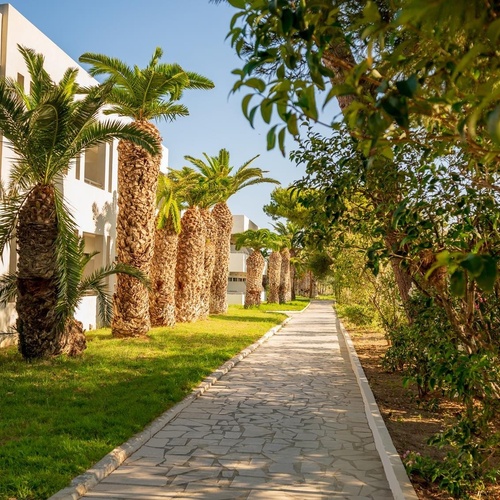 a stone walkway with palm trees on both sides