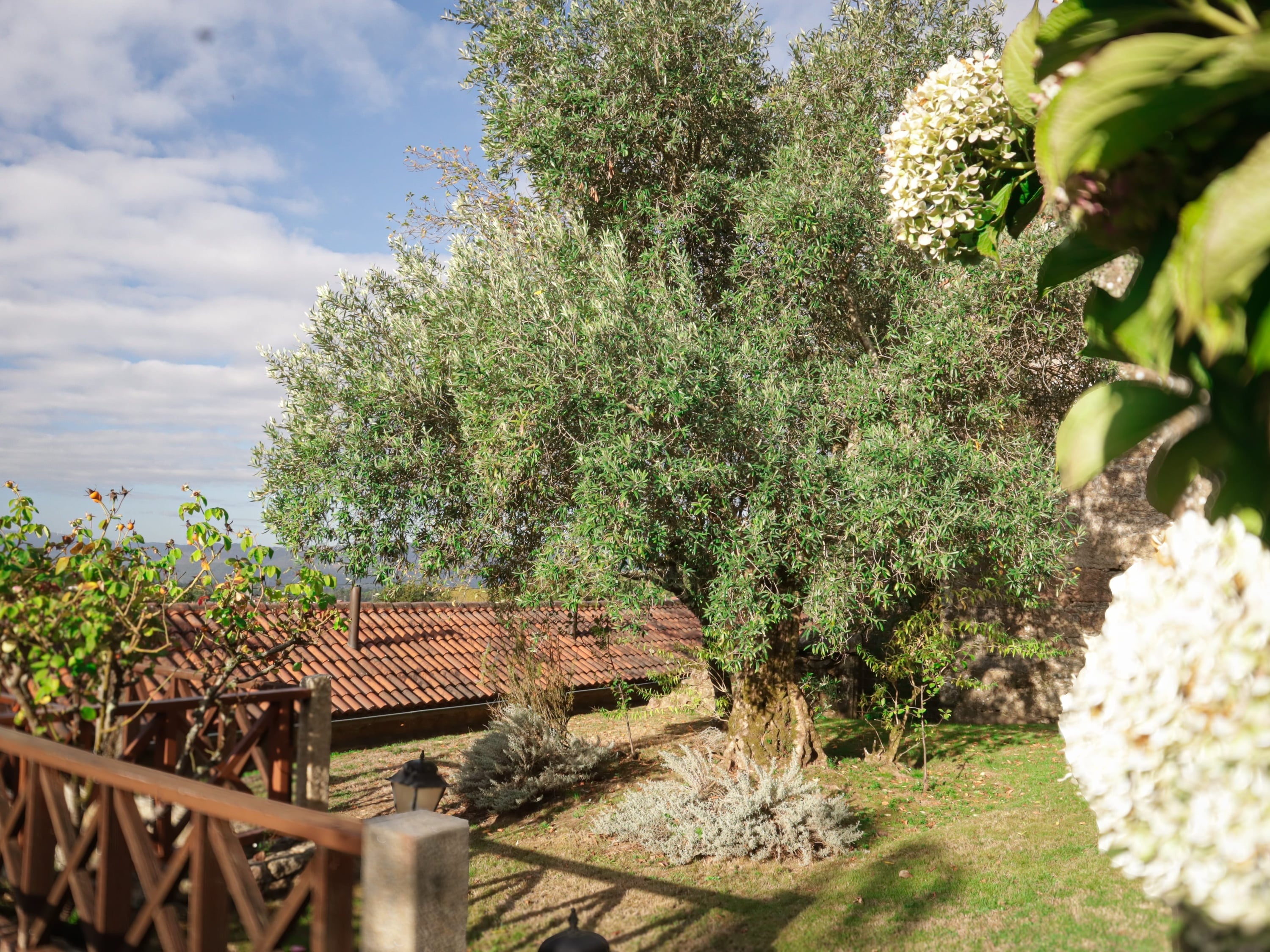 una piscina rodeada de césped verde y sillas blancas 