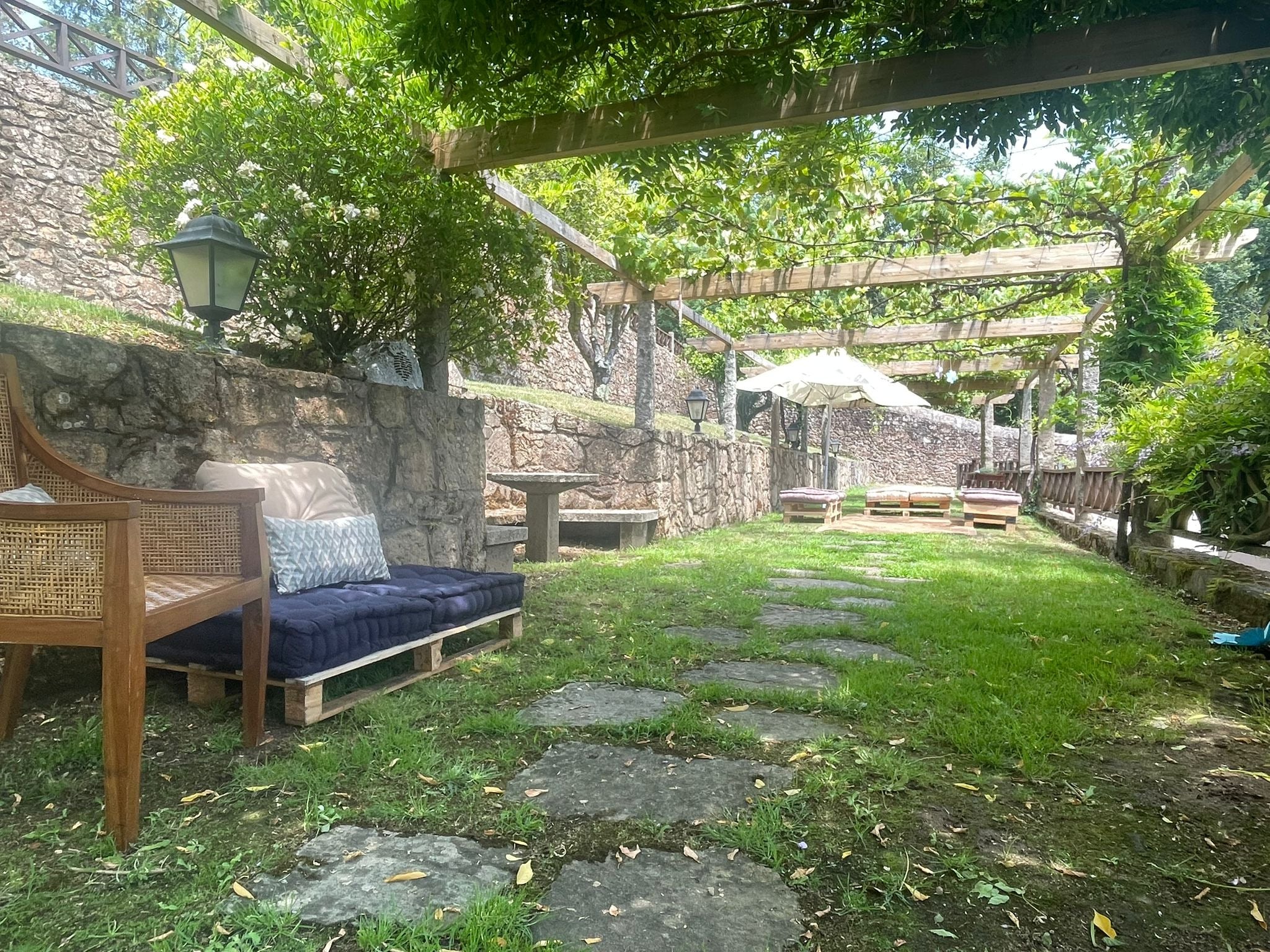 Lush tropical garden at SNO: Pazo de Adrán, featuring banana trees and dense foliage.