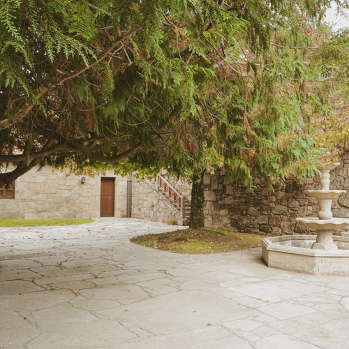 una puerta de madera conduce a un jardín lleno de árboles y arbustos