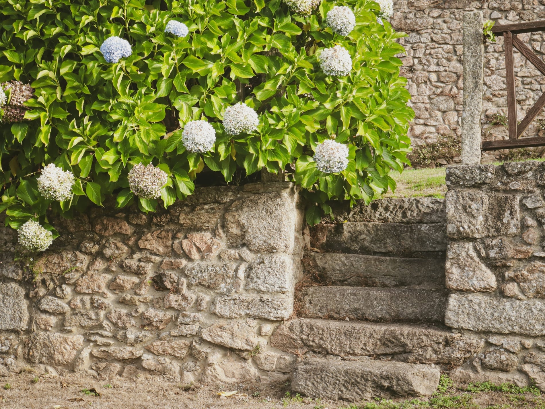 un faro en una pequeña isla en medio del océano