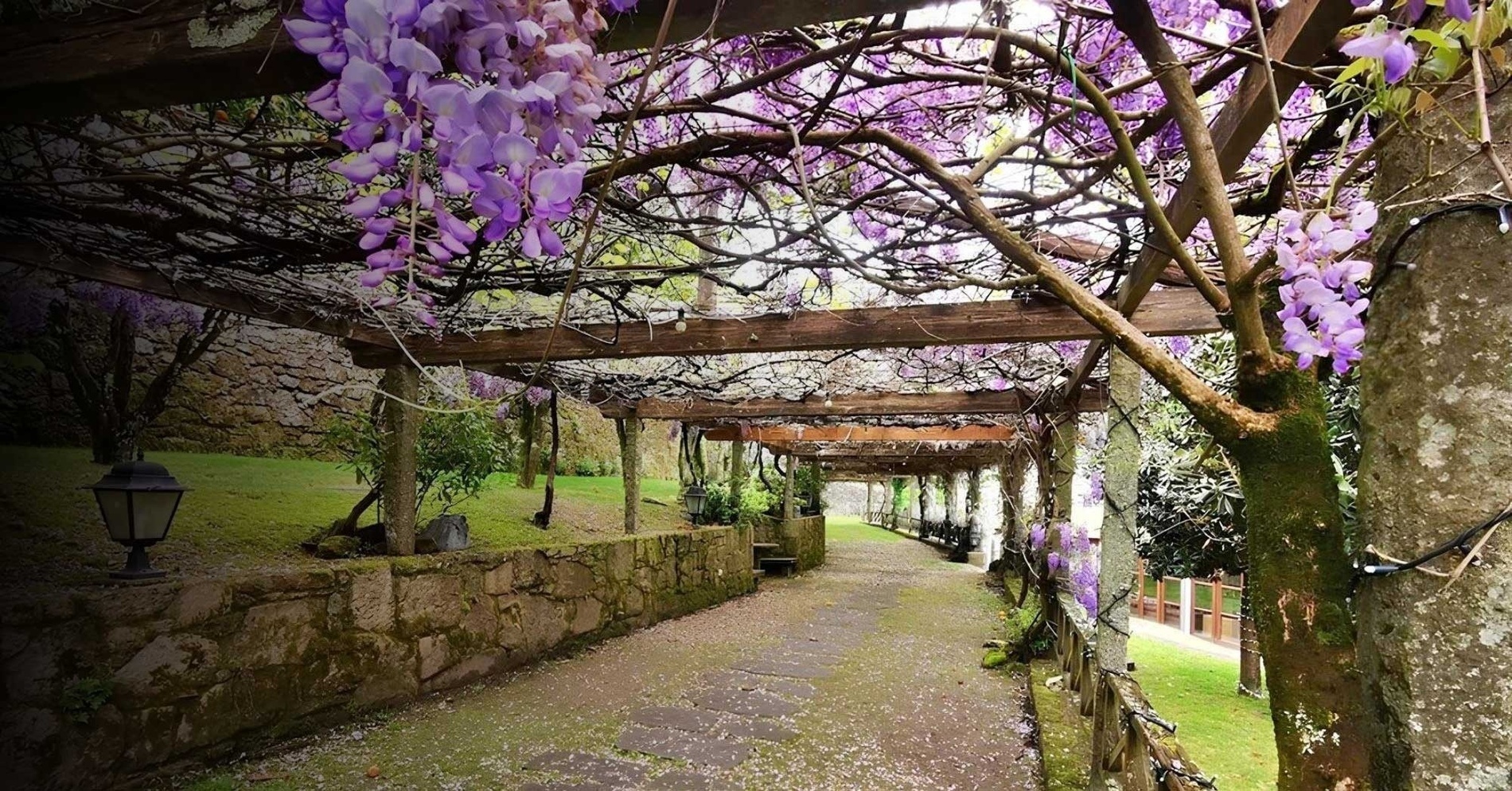 un grupo de esquiadores y snowboarders en una estación de esquí