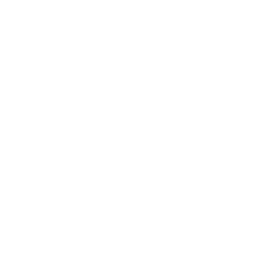 el logotipo de pazo o rial es un grupo de hoteles
