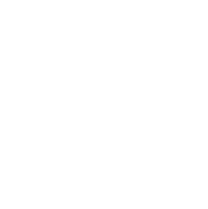 el logotipo de pazo o rial es un grupo de hoteles
